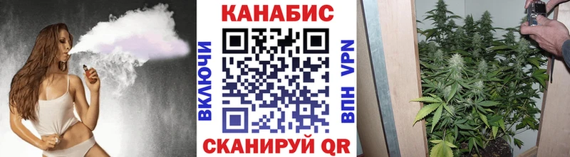Где купить Енисейск Кокаин  Лсд 25  Меф  ГАШ  Конопля  Псилоцибиновые грибы 