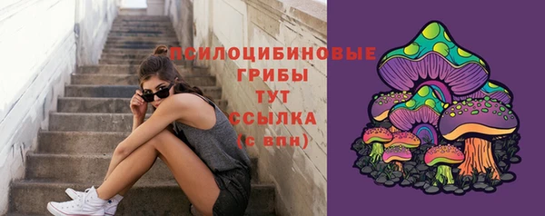 эйфоретик Алексеевка