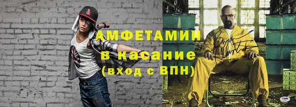 прущие грибы Абинск