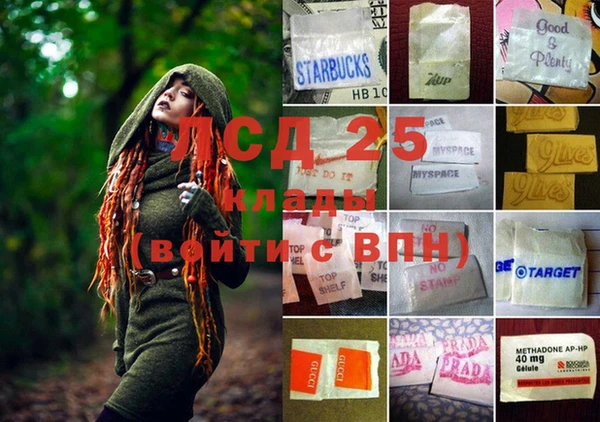 прущие грибы Абинск