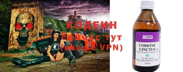 прущие грибы Абинск
