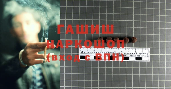 прущие грибы Абинск